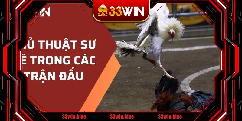 Thủ thuật sư kê trong các trận đấu Thủ thuật sư kê trong các trận đấu