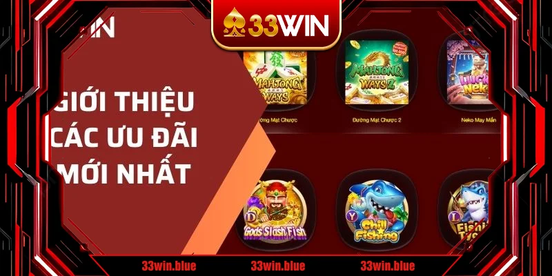 Giới thiệu các chương trình ưu đãi mới nhất 2024