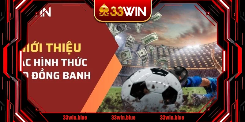 Giải thích đơn giản các loại cược hòa Giải thích đơn giản các loại cược hòa