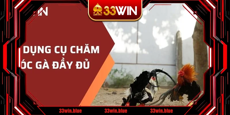 Bộ dụng cụ gà chăm sóc đầy đủ Bộ dụng cụ gà chăm sóc đầy đủ