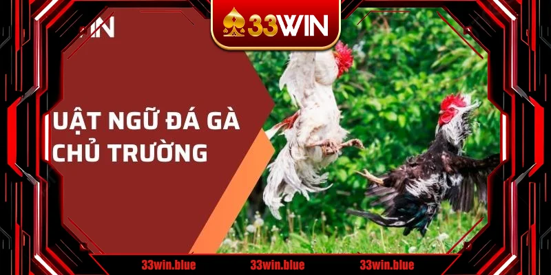 Thuật ngữ đá gà chủ trường Thuật ngữ đá gà chủ trường