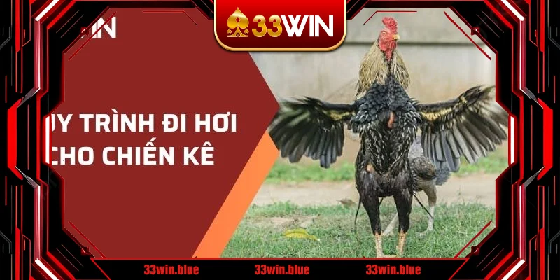 Quy trình đi hơi cho chiến kê Quy trình đi hơi cho chiến kê