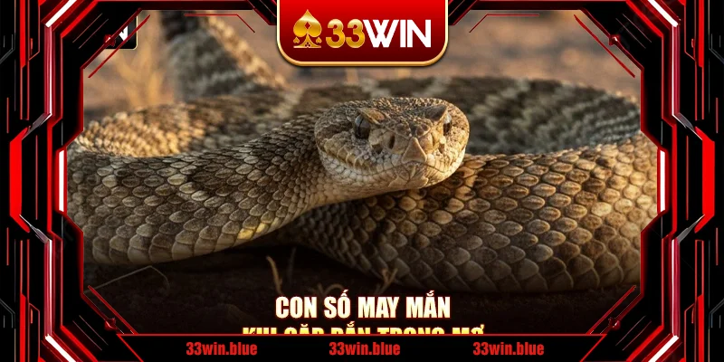 Con số may mắn khi gặp rắn trong mơ Con số may mắn khi gặp rắn trong mơ