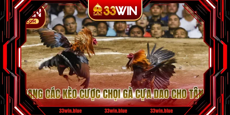 Đa dạng các kèo cược chọi gà cựa dao cho tân thủ Đa dạng các kèo cược chọi gà cựa dao cho tân thủ