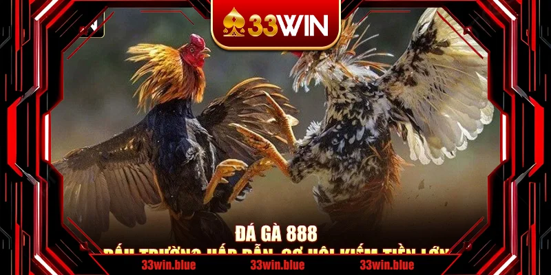 Đá Gà 888 – Đấu Trường Hấp Dẫn, Cơ Hội Kiếm Tiền Lớn