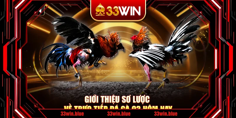Giới thiệu sơ lược về trực tiếp đá gà C3 hôm nay Giới thiệu sơ lược về trực tiếp đá gà C3 hôm nay