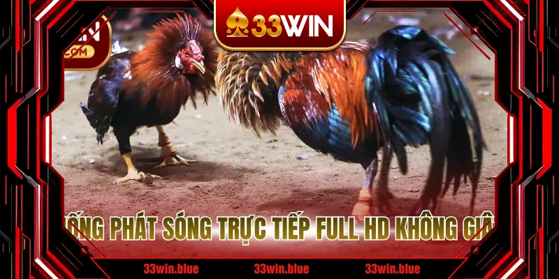 Hệ thống phát sóng chất lượng cao đảm bảo không giật lag Hệ thống phát sóng chất lượng cao đảm bảo không giật lag