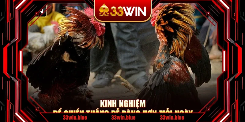 Kinh nghiệm để chiến thắng dễ dàng hơn mỗi ngày Kinh nghiệm để chiến thắng dễ dàng hơn mỗi ngày