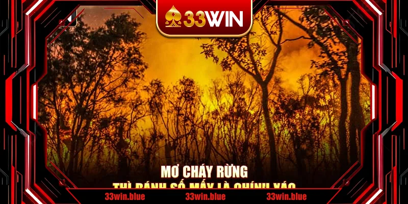 Mơ cháy rừng thì đánh số mấy là chính xác Mơ cháy rừng thì đánh số mấy là chính xác