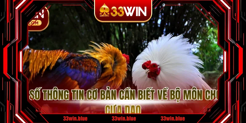 Một số thông tin cơ bản cần biết về bộ môn chọi gà cựa dao Một số thông tin cơ bản cần biết về bộ môn chọi gà cựa dao