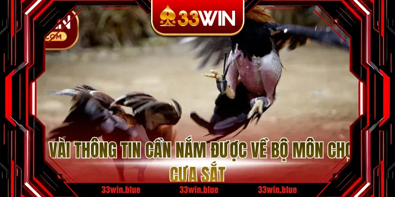 Một vài thông tin cần nắm được về bộ môn chọi gà cựa sắt Một vài thông tin cần nắm được về bộ môn chọi gà cựa sắt