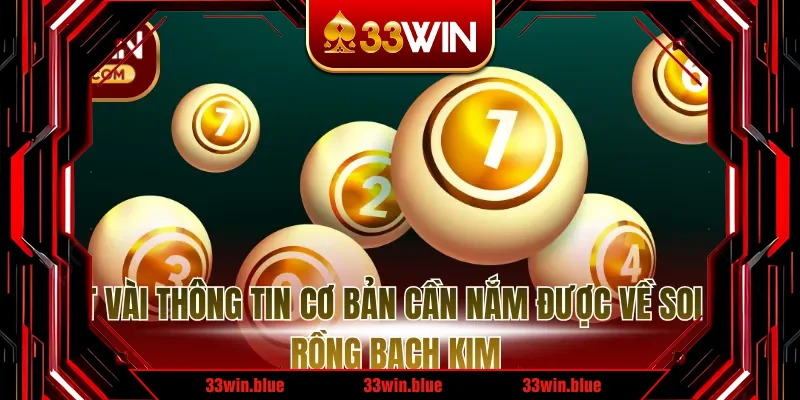 Một vài thông tin cơ bản cần nắm được về soi cầu rồng bạch kim Một vài thông tin cơ bản cần nắm được về soi cầu rồng bạch kim