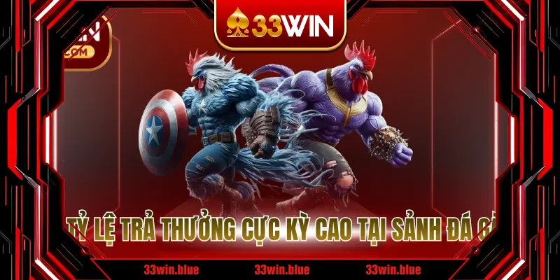 Mức tỷ lệ trả thưởng cực kỳ cao tại sảnh đá gà cpc Mức tỷ lệ trả thưởng cực kỳ cao tại sảnh đá gà cpc