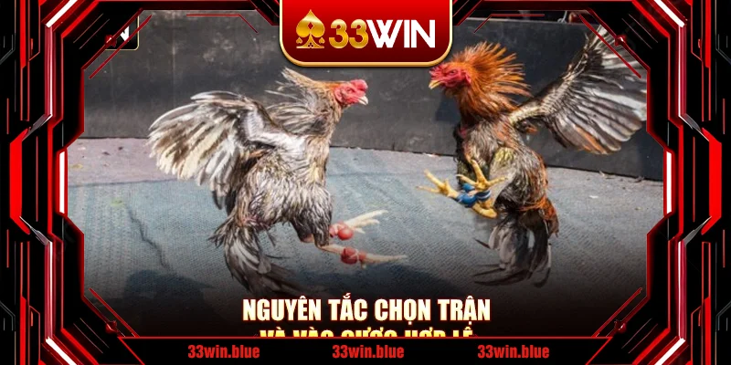 Nguyên tắc chọn trận và vào cược hợp lệ Nguyên tắc chọn trận và vào cược hợp lệ