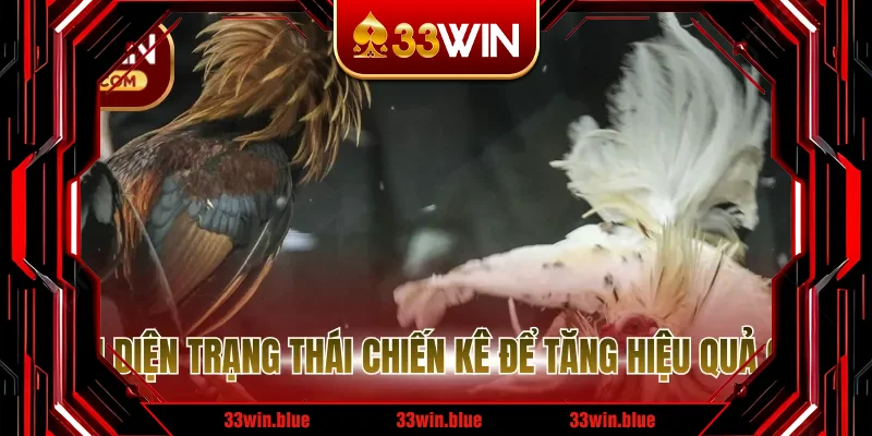 Nhận diện trạng thái chiến kê để tăng hiệu quả cược Nhận diện trạng thái chiến kê để tăng hiệu quả cược