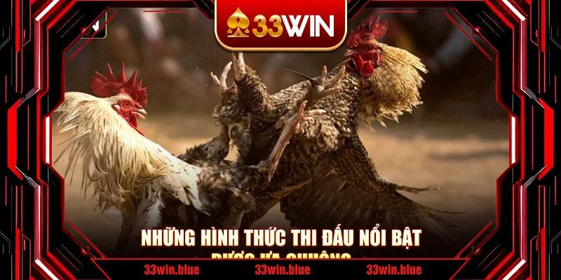 Những hình thức thi đấu nổi bật được ưa chuộng Những hình thức thi đấu nổi bật được ưa chuộng