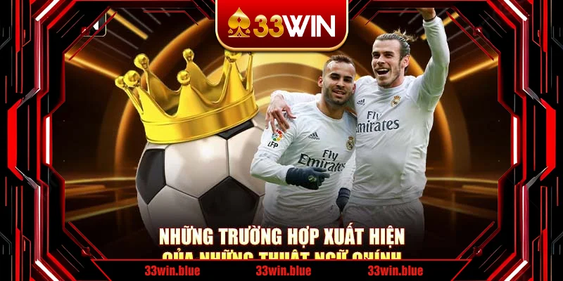 Những trường hợp xuất hiện của những thuật ngữ chính