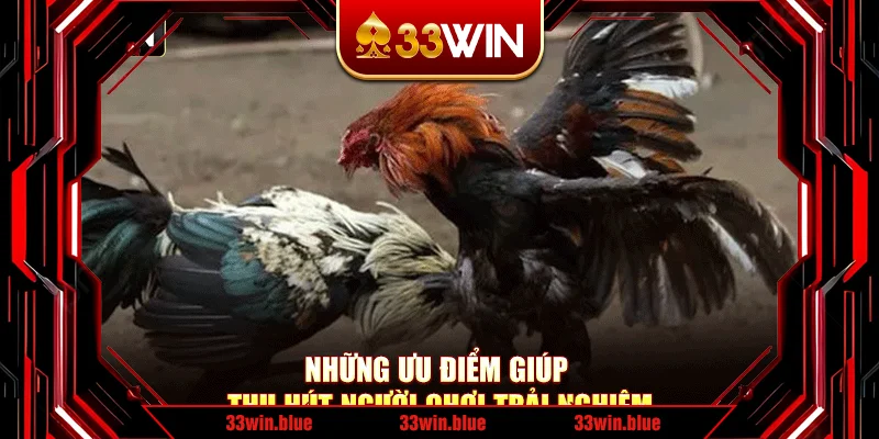Những ưu điểm giúp thu hút người chơi trải nghiệm Những ưu điểm giúp thu hút người chơi trải nghiệm