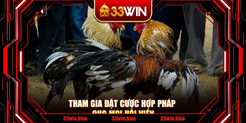 Tham gia đặt cược hợp pháp cho mọi hội viên Tham gia đặt cược hợp pháp cho mọi hội viên