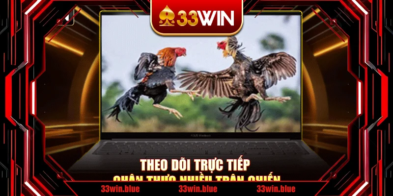 Theo dõi trực tiếp chân thực nhiều trận chiến Theo dõi trực tiếp chân thực nhiều trận chiến