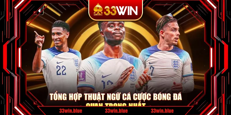 Tổng hợp thuật ngữ cá cược bóng đá quan trọng nhất