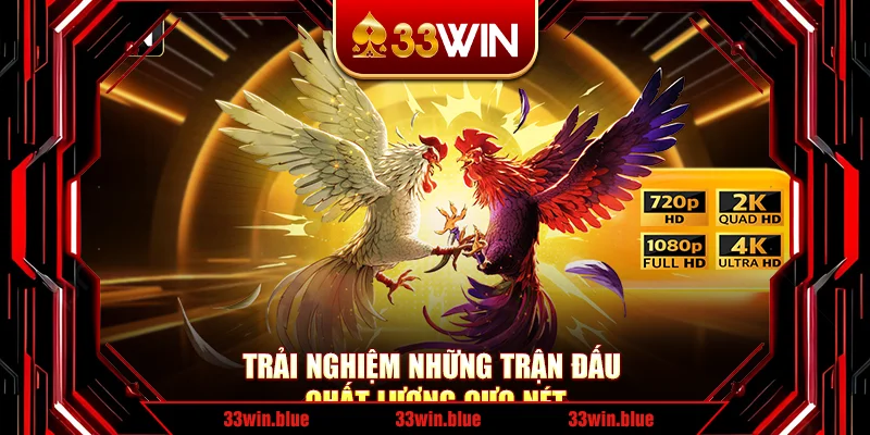 Trải nghiệm những trận đấu chất lượng cực nét Trải nghiệm những trận đấu chất lượng cực nét