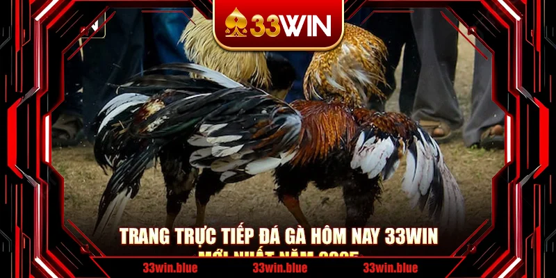 Trang Trực Tiếp Đá Gà Hôm Nay 33Win Mới Nhất Năm 2025