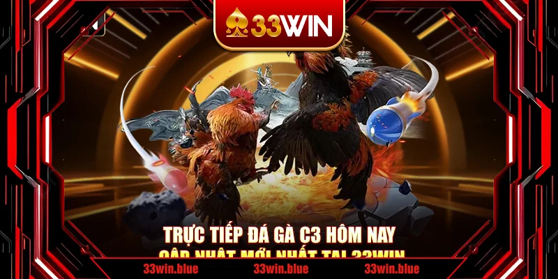 Trực Tiếp Đá Gà C3 Hôm Nay – Cập Nhật Mới Nhất Tại 33Win