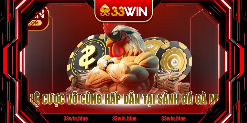 Tỷ lệ cược vô cùng hấp dẫn tại sảnh đá gà mạng